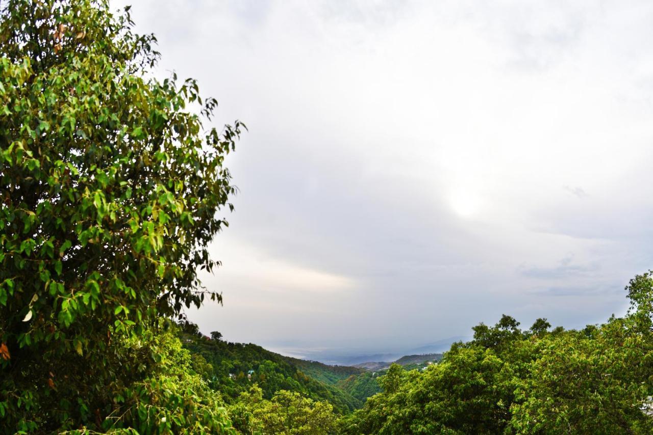 Indraprastha Resort Dalhousie Eksteriør bilde